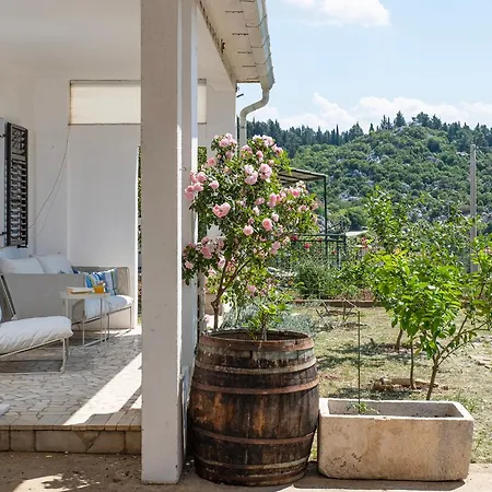 Apartmán Sea View 1 *